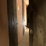 Slow Refuge בית נופש *