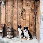 Slow Refuge בית נופש Fanzel