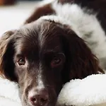 Slow Refuge בית נופש