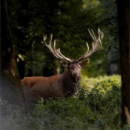 Slow Refuge Casa vacanze *