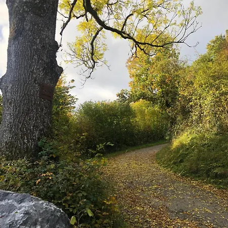 別荘 Slow Refuge Fanzel