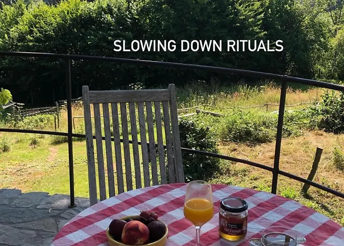 Slow Refuge * Fanzel